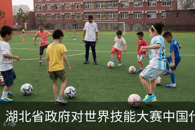 湖北省政府对世界技能大赛中国代表团的祝贺